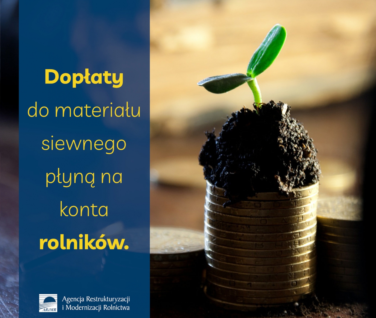 Dopłaty Do Materiału Siewnego 2019 Stawki Starostwo Powiatowe w Piotrkowie Trybunalskim - Dopłaty do materiału