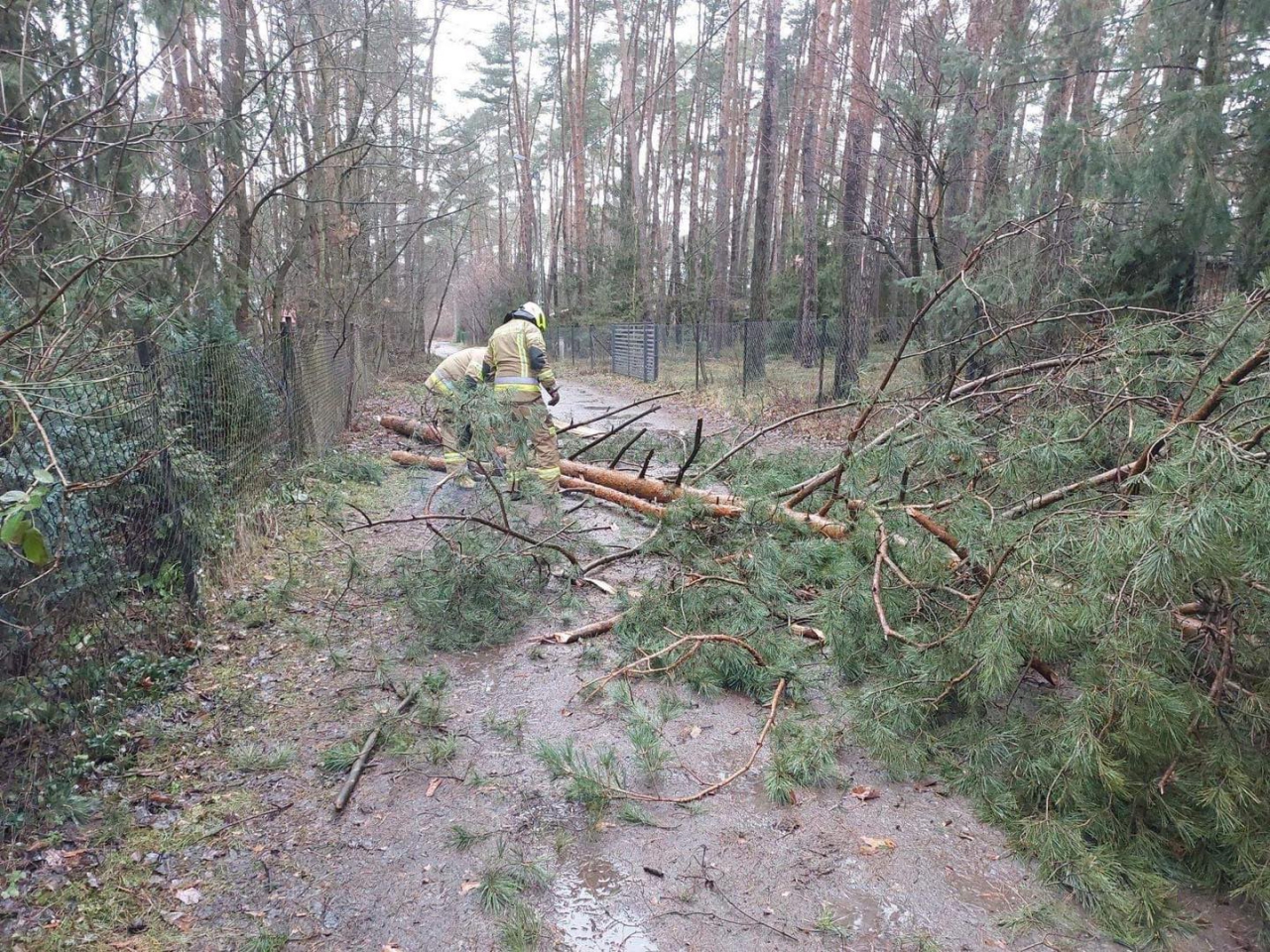 Powalone drzewa przez wichurę Nadia usuwali strażacy