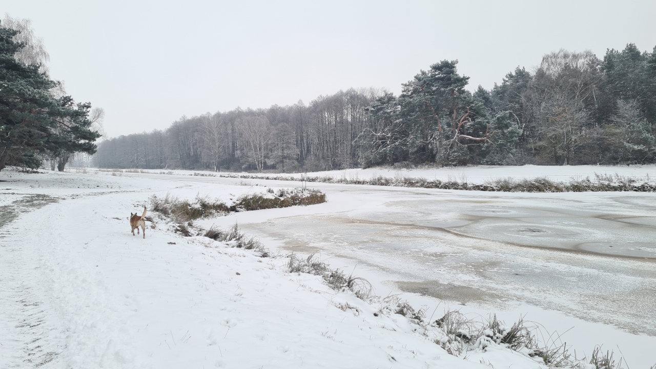 Widok na zbiornik we Wolborzu