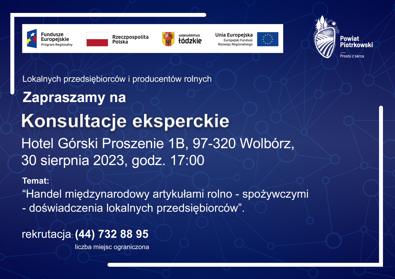Plakat zapraszający na konsultacje eksperckie. 